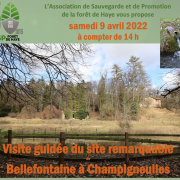 Visite site remarquable Bellefontaine