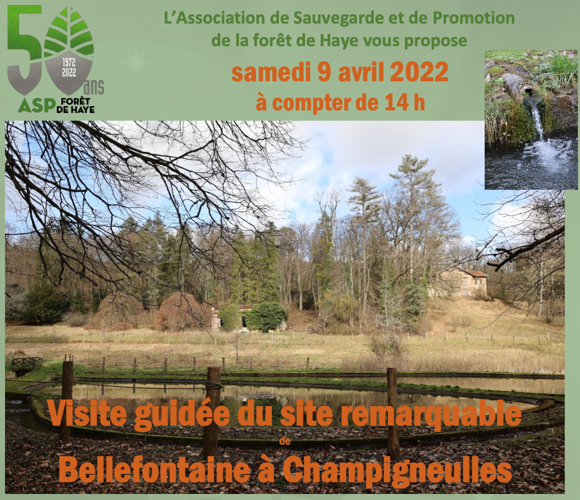 Visite site remarquable Bellefontaine